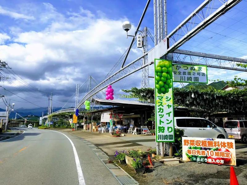 安全農園2号店