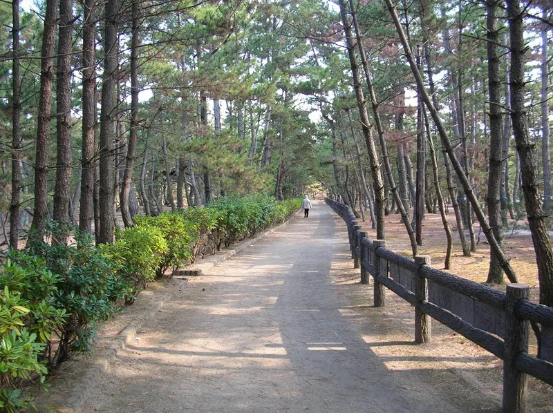 慶野松原海水浴場