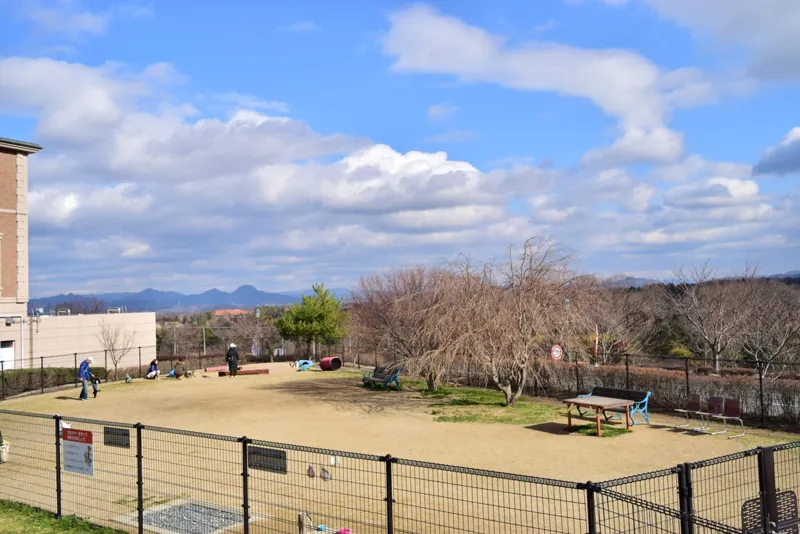 道の駅 神戸フルーツ・フラワーパーク大沢 3