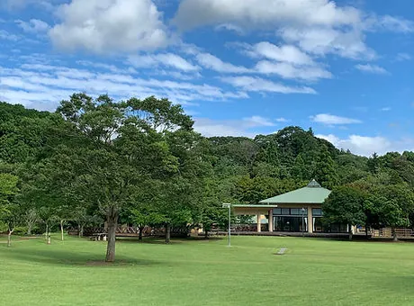 内浦山県民の森