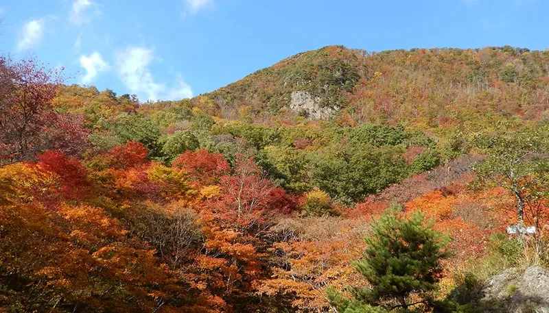 紅葉山公園