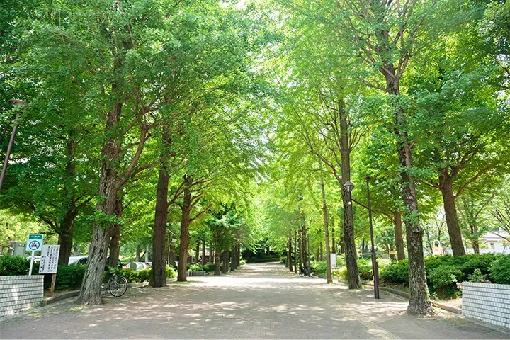 城北中央公園 3