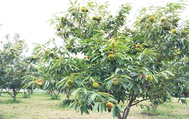 鈴鹿伊藤園