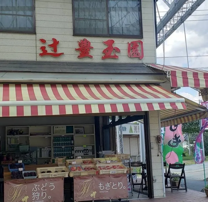 辻豊玉園 2
