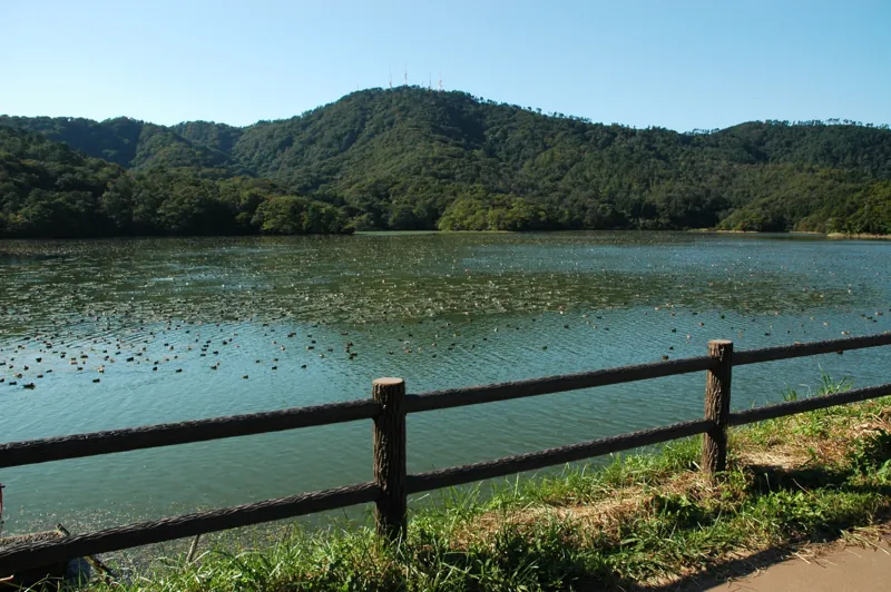 高館山
