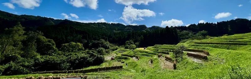 大山千枚田