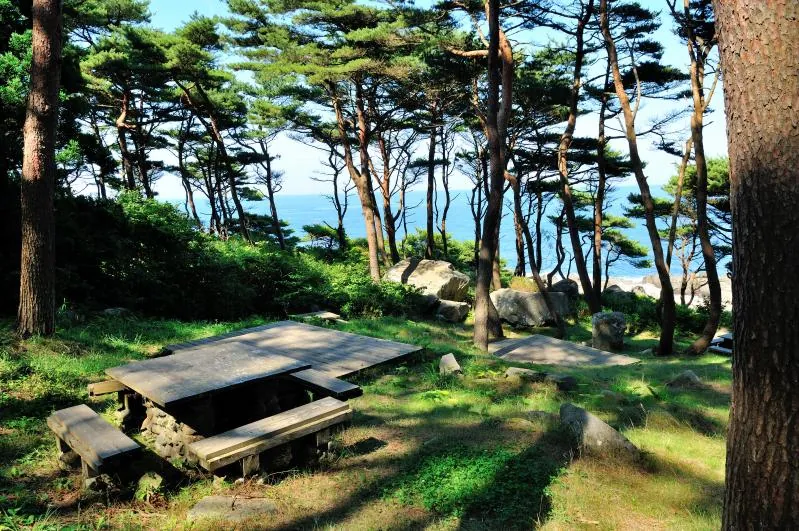 北侍浜野営場