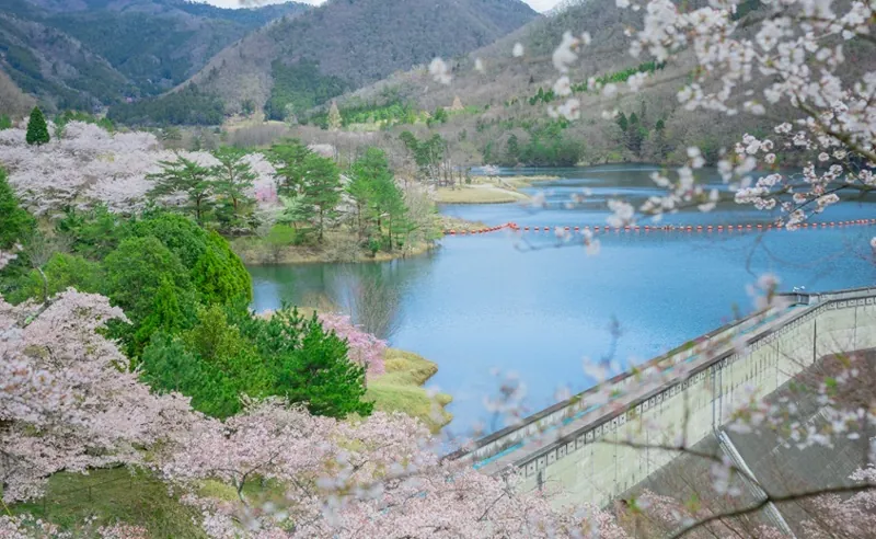 南丹市美山大野ダム公園