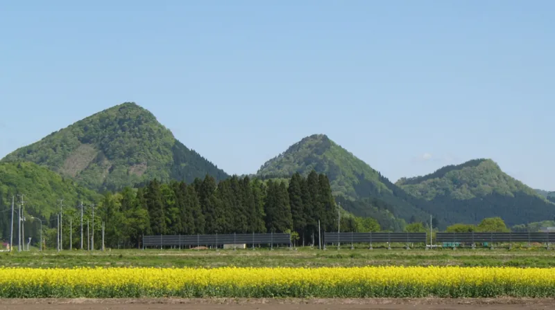 薬師山