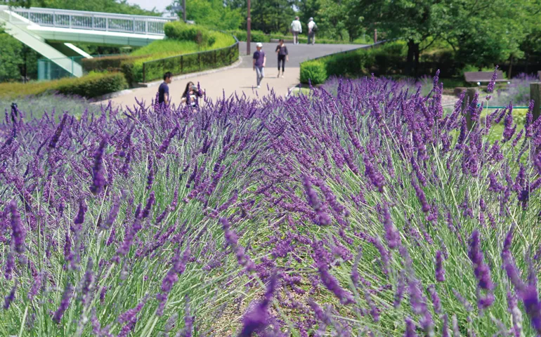 荒子川公園 サンクガーデン