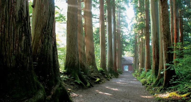 戸隠神社 奥社