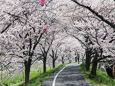 井原堤