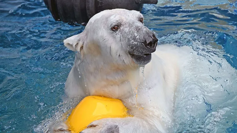 とべ動物園 2