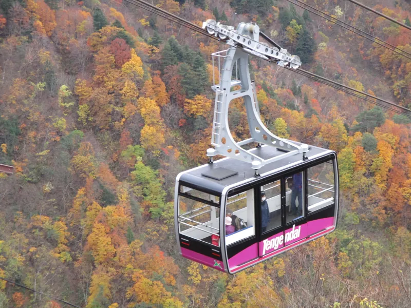 天元台高原