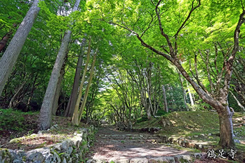 鶏足寺 2