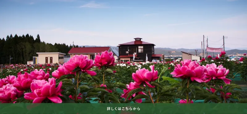 ながいピオニーの森 1