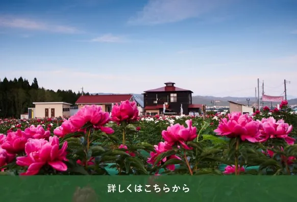 ながいピオニーの森 2