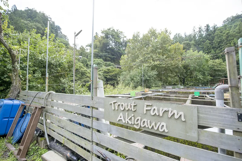 トラウトファーム秋川 3