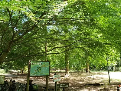 いちかわ市民キャンプ場