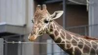 札幌市円山動物園 2