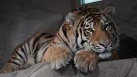 札幌市円山動物園 3
