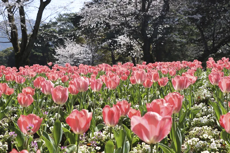 別府公園