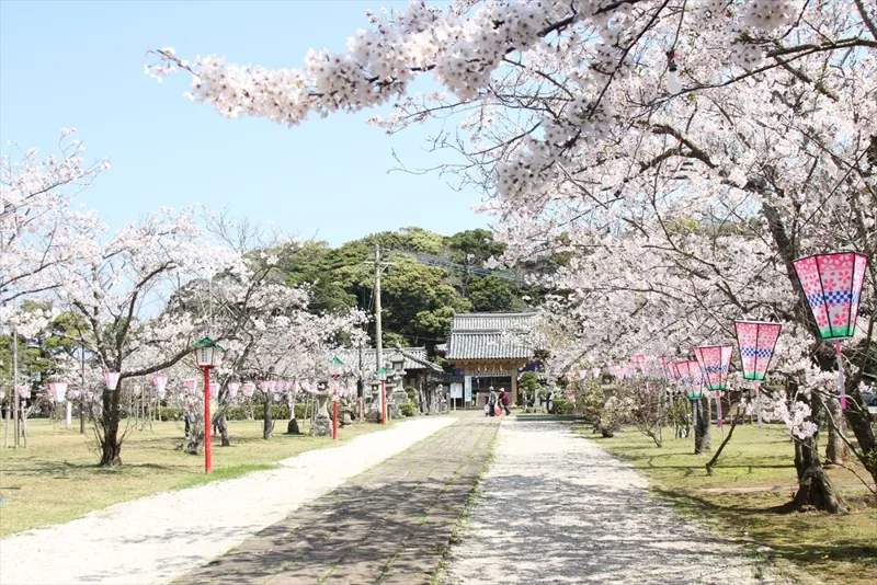 亀岡公園