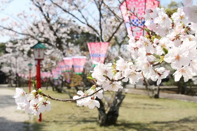 亀岡公園 3