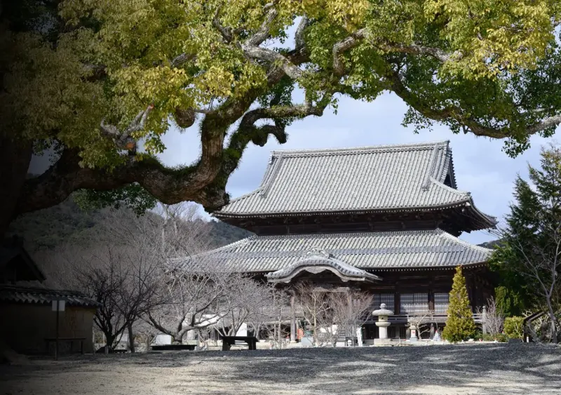 周防国分寺