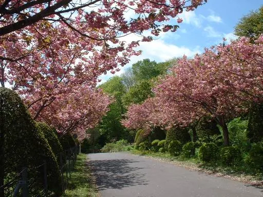亀田記念公園
