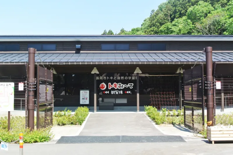 長岡市トキと自然の学習館