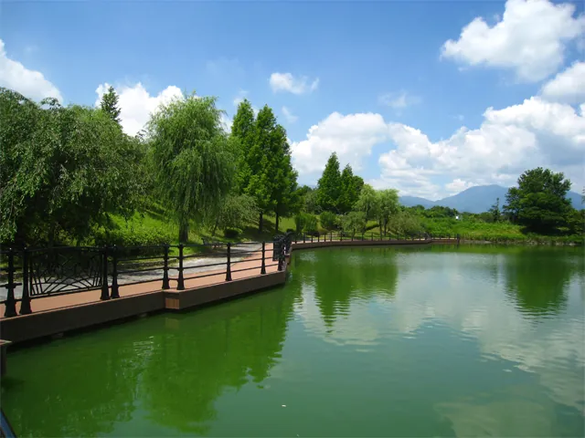 北勢中央公園 3