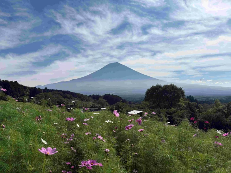 まかいの牧場 3