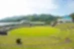 水車の里フルーツトピア