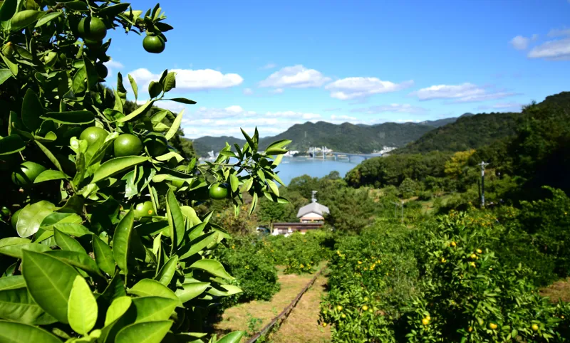 下林農園