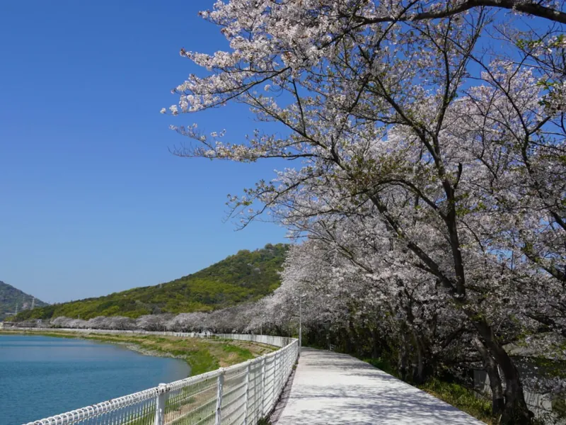 鎌田池公園 2