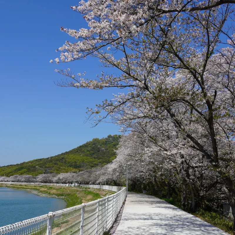 鎌田池公園 3