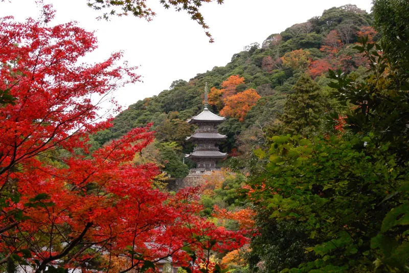 安来清水寺
