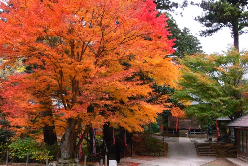 安来清水寺 2