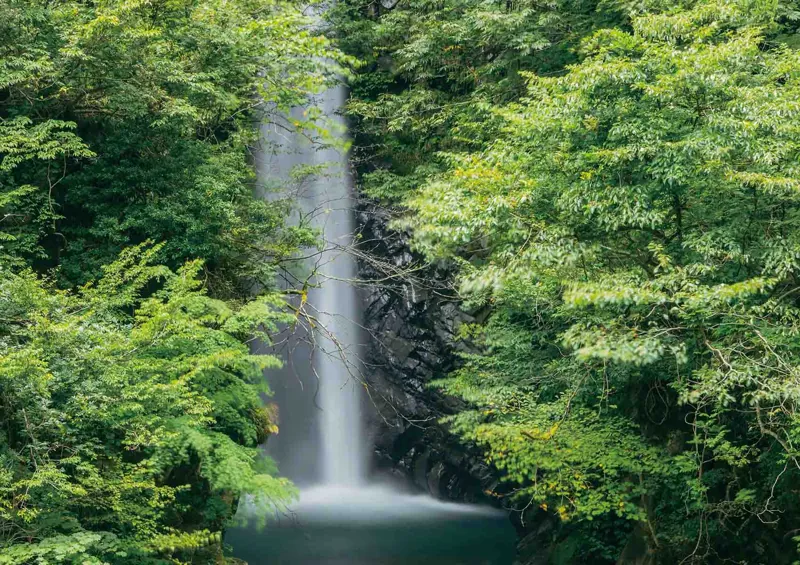 大山滝
