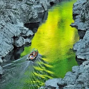 祖谷のかずら橋 2