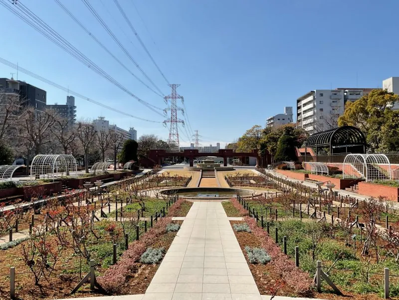 総合レクリエーション公園 フラワーガーデン