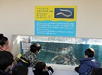 浜名湖体験学習施設ウォット 2