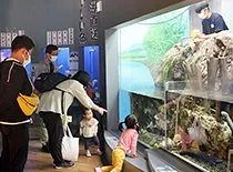 浜名湖体験学習施設ウォット 3