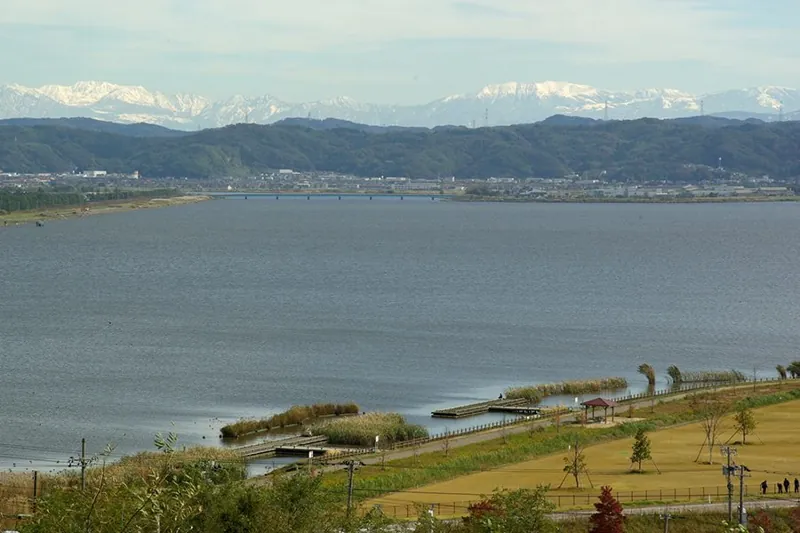 蓮湖渚公園