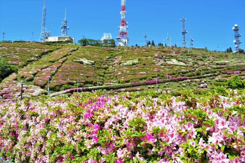 大平山山頂公園 3