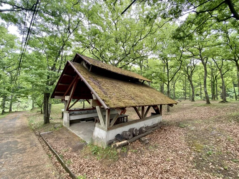 南阿蘇久木野キャンプ場 ヒカリトモリ 2