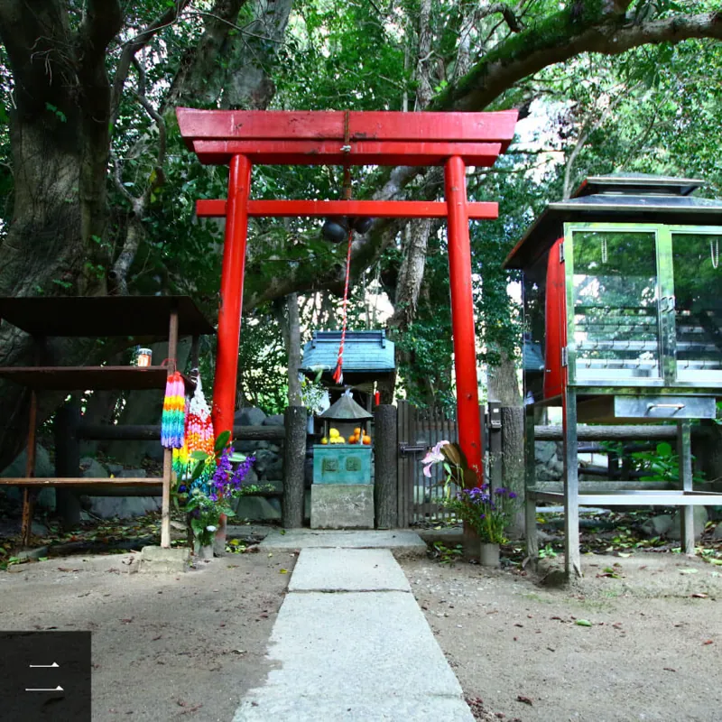 46番札所 浄瑠璃寺