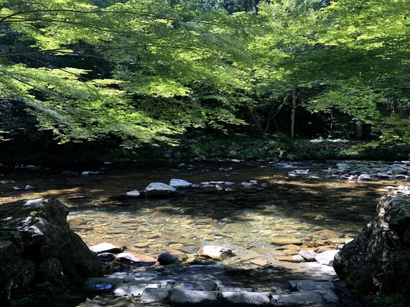 ひやひやランド 2