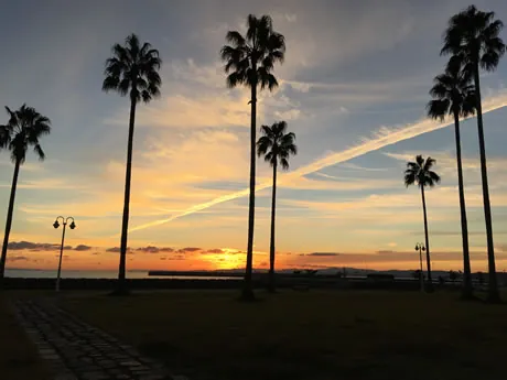 上人ヶ浜公園